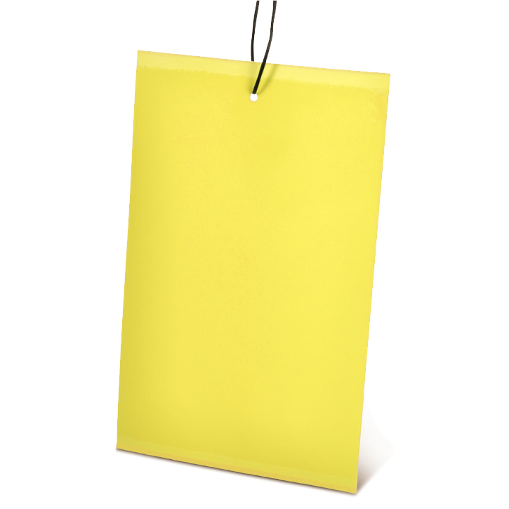 לוח דביק ללכידת חרקים פרוטקו בורד (10 יח')