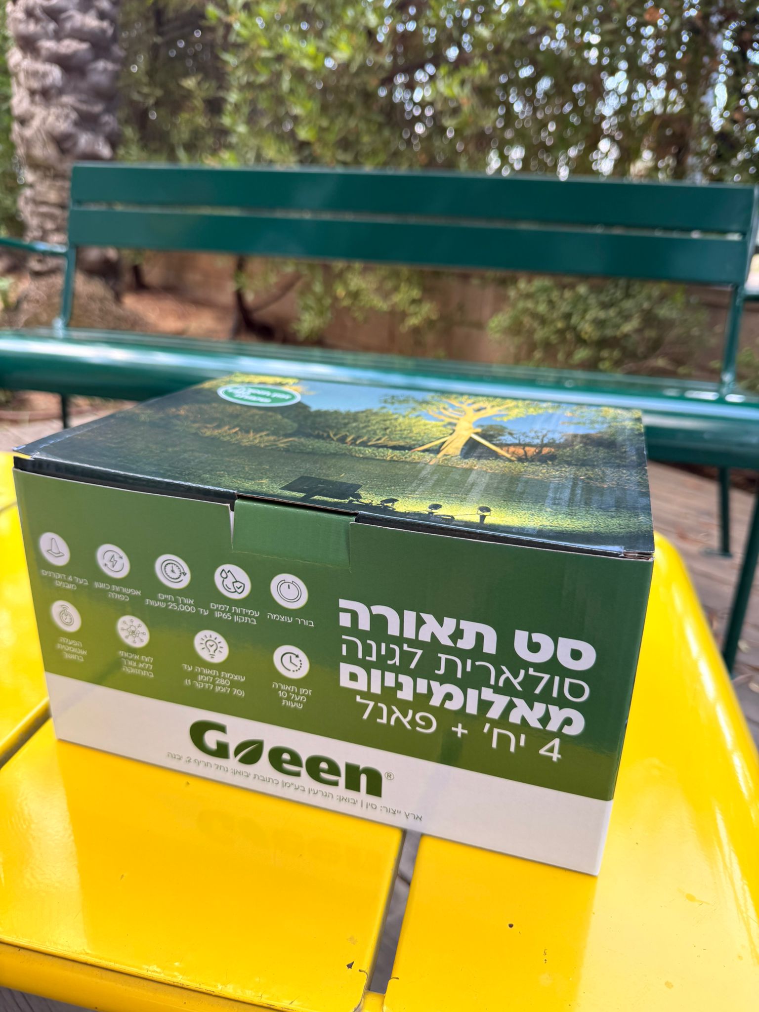 תמונה 2