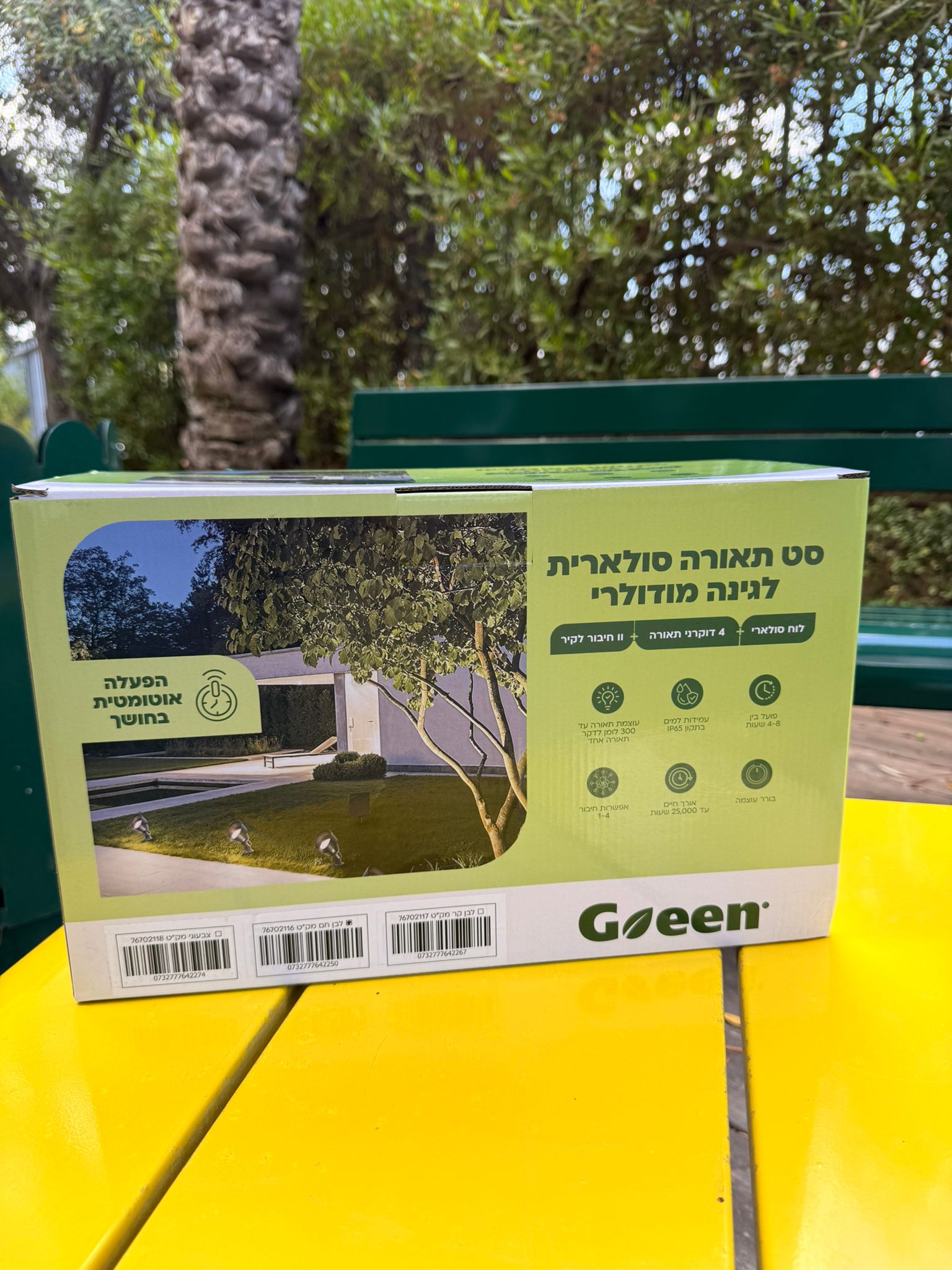 תמונה 4